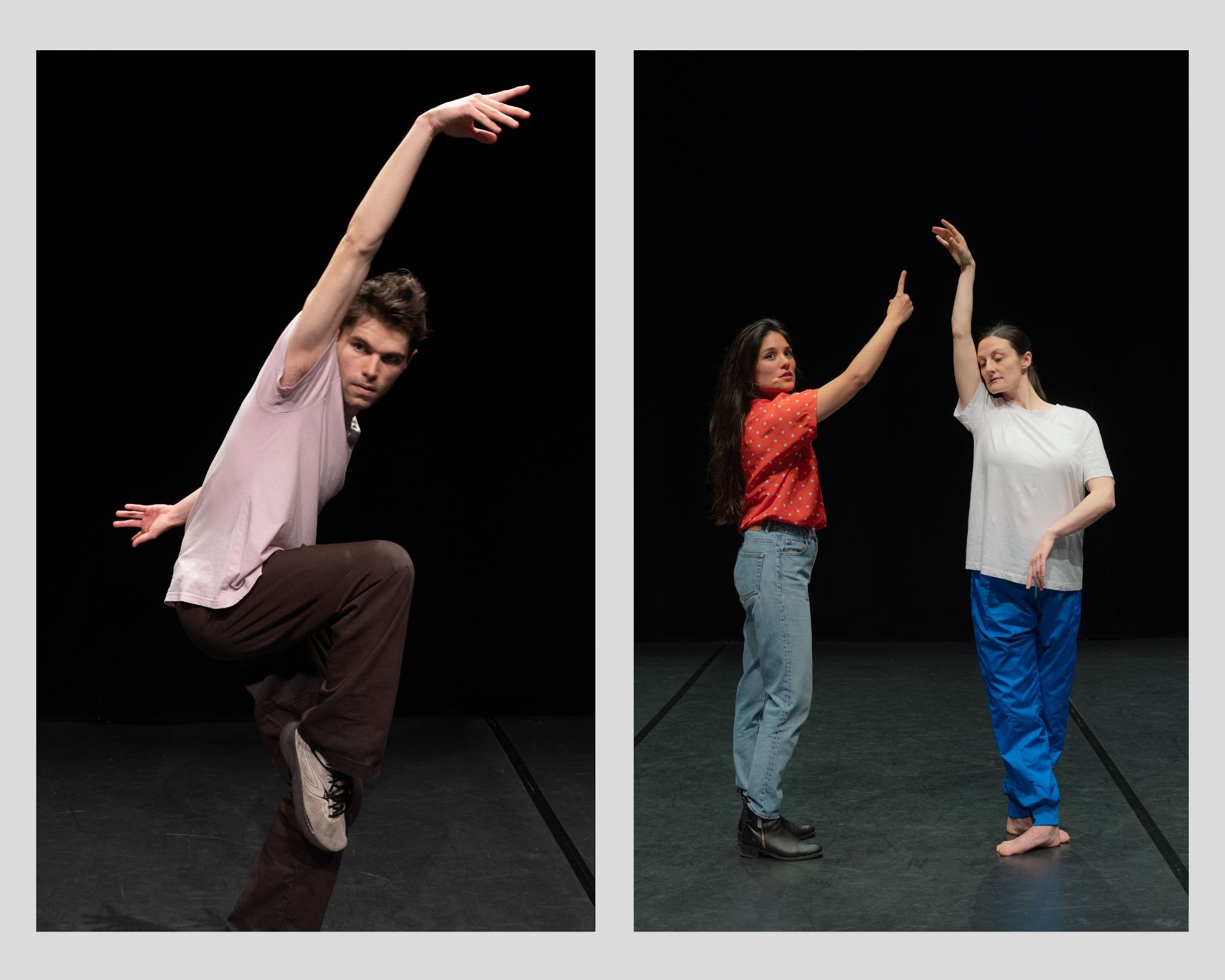 4 Non human dances V&eacute;ronique Ellena