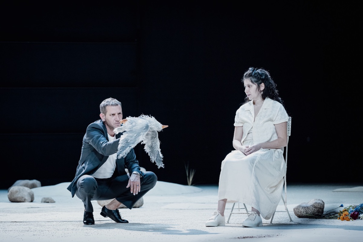 LaMouette Simon Gosselin 1 114