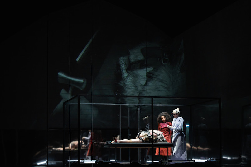 Nosferatu c Susanne Hassler Smith 088