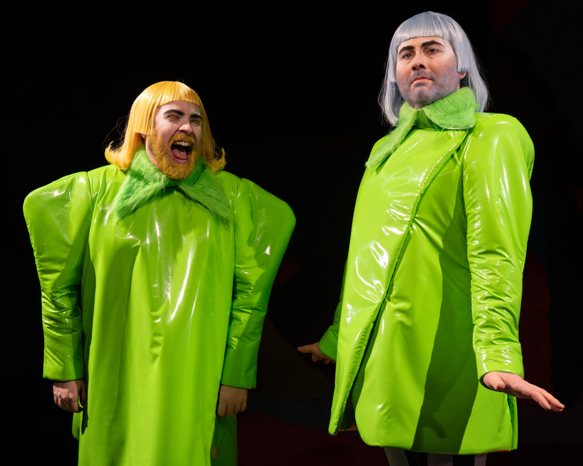 SchraegeVoegel1 1200 NatalieGrebe