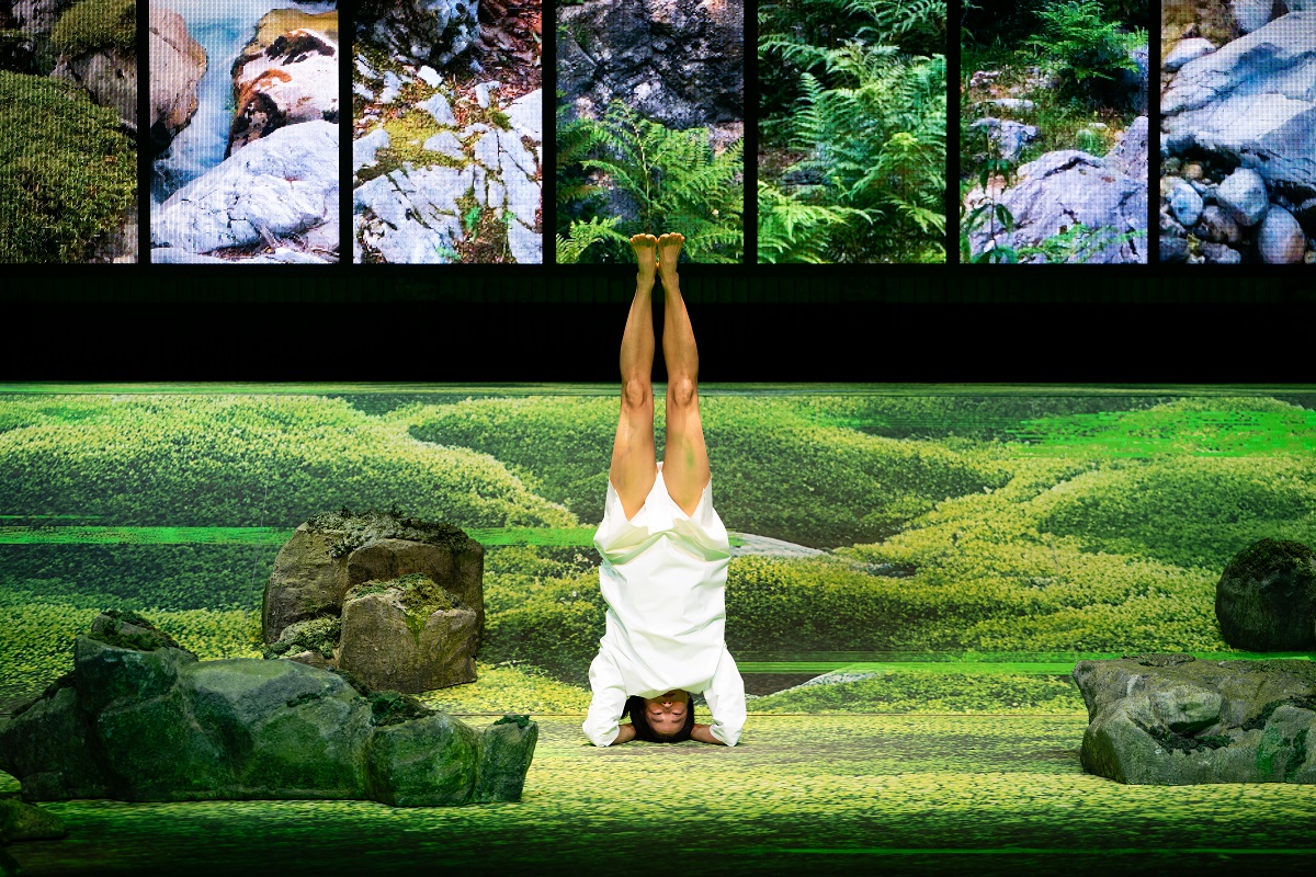 DieVegetarierin 2 CChristoph Liebentritt u