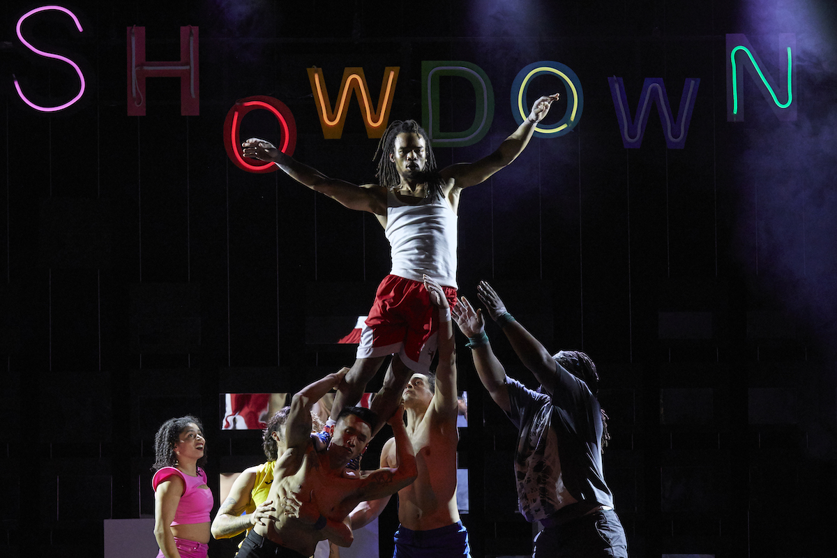 Chamaeleon Showdown 2 CAndyPhillipson u