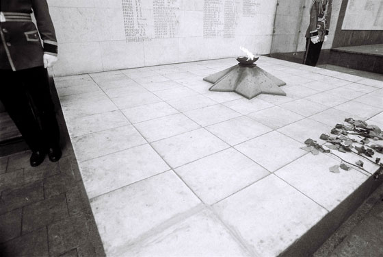 Passport 560 Georgian Showcase 2018