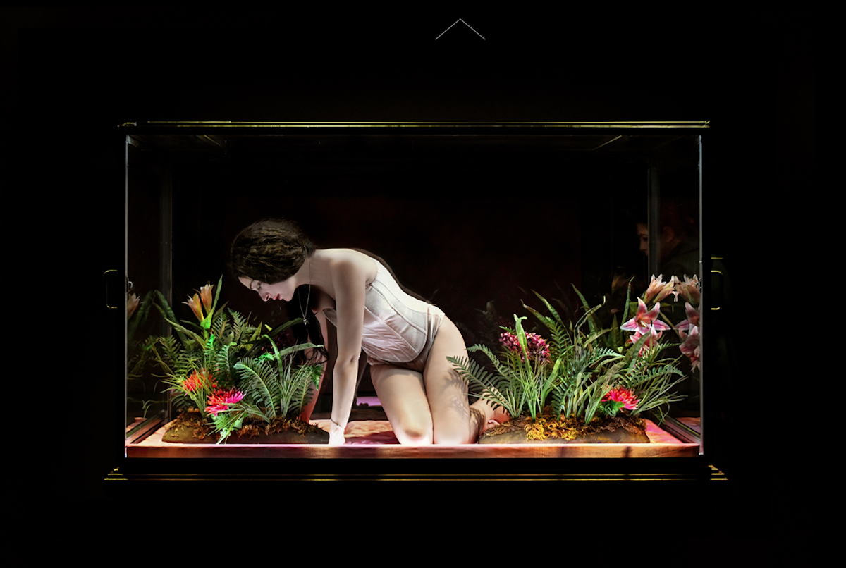 AmaliaMelancholia GRAPE AEF