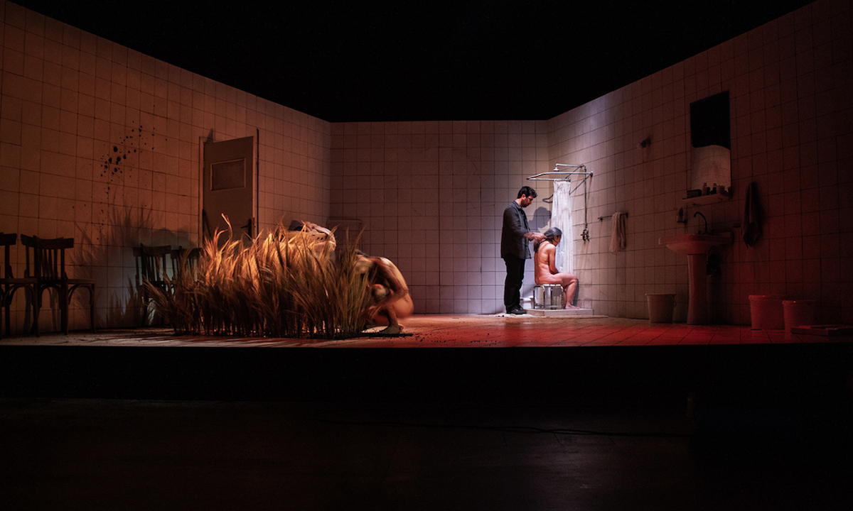 PointOfRefreshment 1 GRAPEAEF