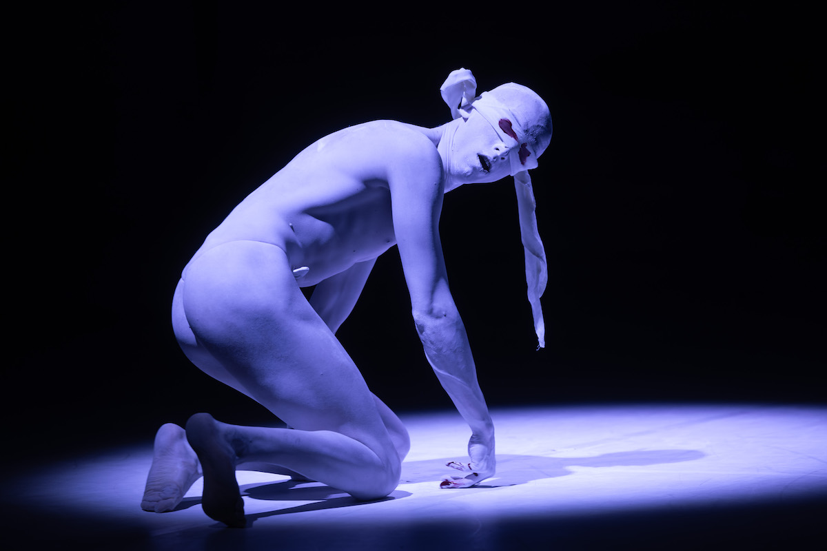 Slowenien 2025 Agmisterij 1 CZeljko Stevanic IFPArhiv CTF UL AGRFT