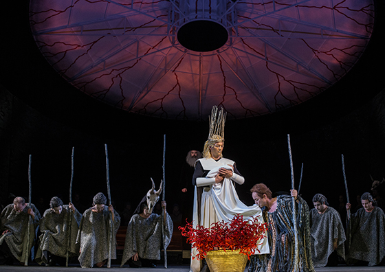 Oedipe 560 Ronny Ristok u