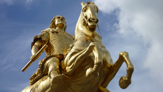 Goldener Reiter 560 c Makrodepecher pixelio