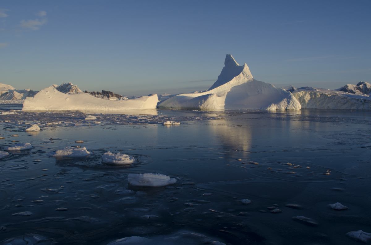 AntarktischeHalbinsel 1200 Polar6 Rothera 53 RobertRicker AWI u