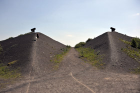 rungenberg_manfred_vollmer